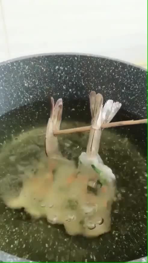 养殖对虾爆料怎么做视频,视频制作攻略全解析  第2张